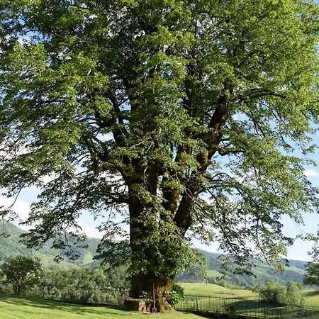 4 Personnes Dans Le Cantal Animaux Bienvenus 別荘 Lascelle