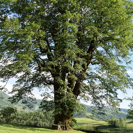 4 Personnes Dans Le Cantal Animaux Bienvenus *